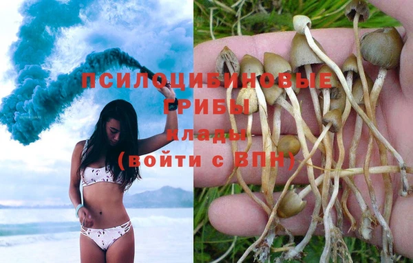крисы Белокуриха
