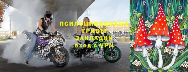 крисы Белокуриха