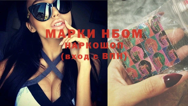 крисы Белокуриха