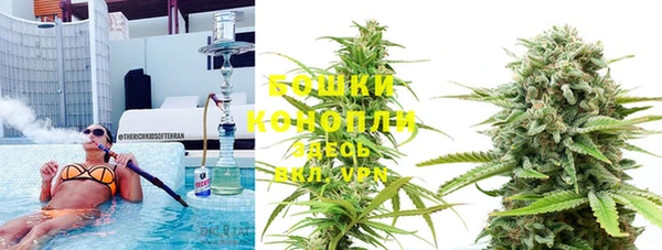 крисы Белокуриха